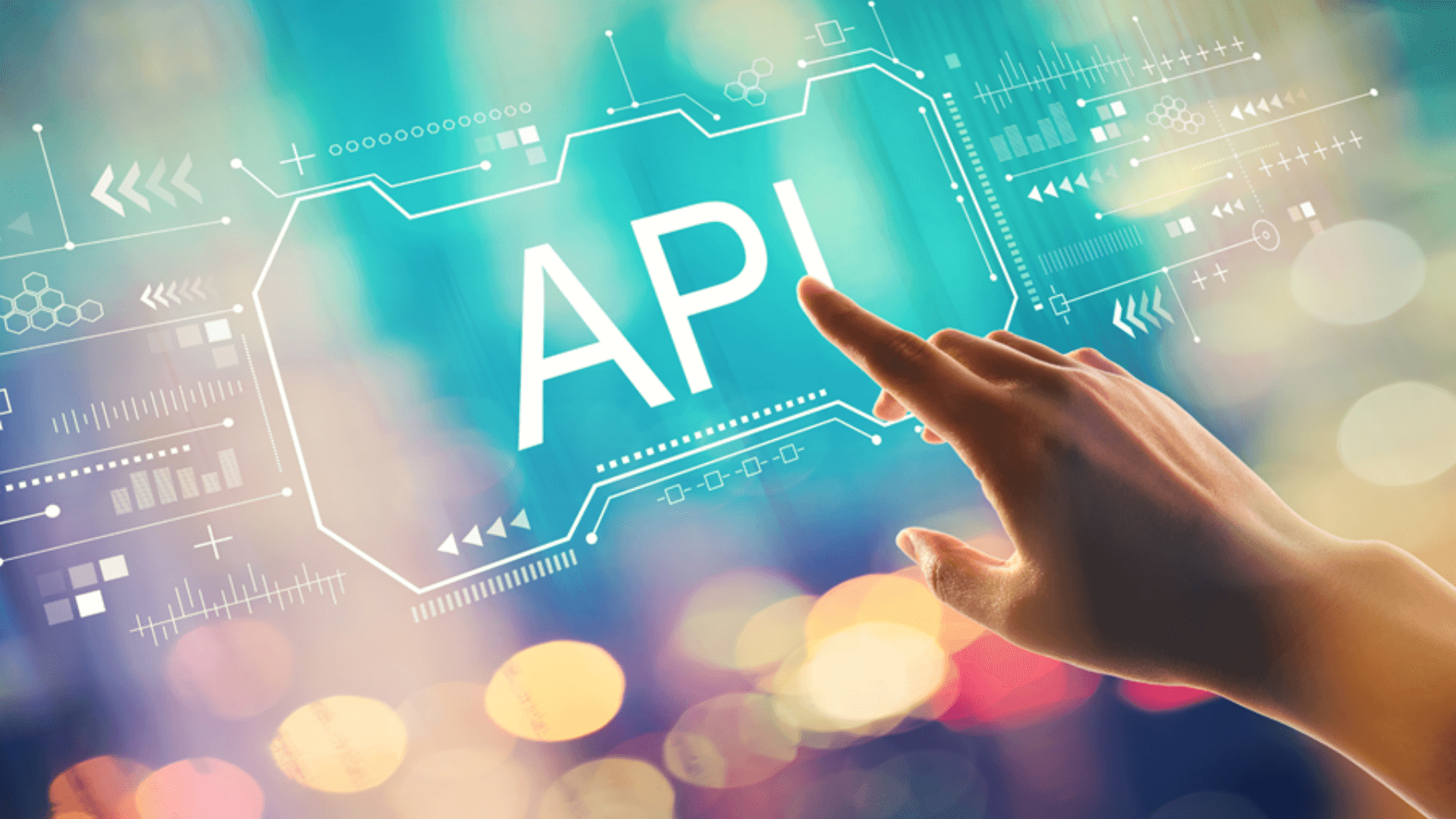 API developer
